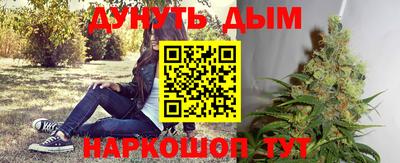 молекула духа Пенза