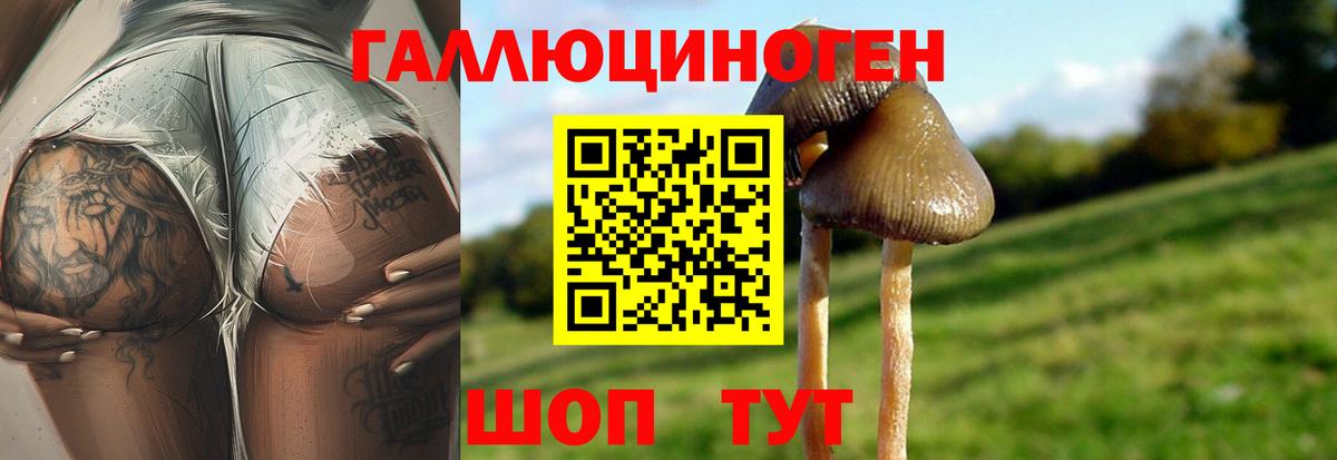 Сланцы  МАРИХУАНА  Вход с VPN  Мефедрон   COCAIN  Экстази 